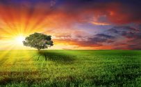 3D Nature Wallpapers with Beautiful Sunrise in The Morning