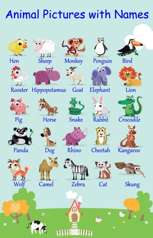 Animal Pictures for Kids with Names