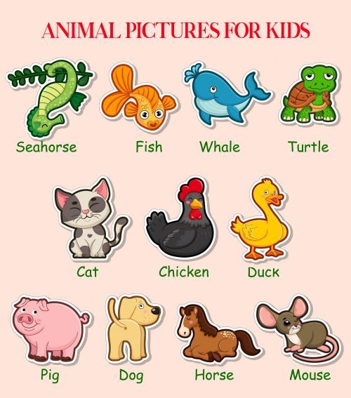 Animal Stickers with Names - Farm Animals - Wild Animals - Water Animals