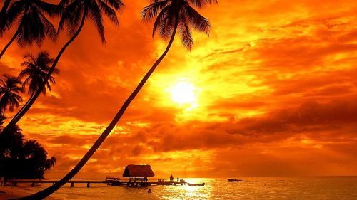Backgrounds of Landscapes with Tropical Sunset Nature Wallpaper