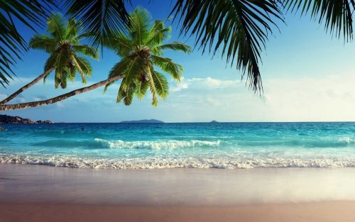 High Resolution Beach Wallpaper with Beautiful Tropical Nature