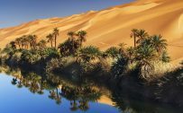 Free Nature Wallpaper Download with Desert Picture Reflections