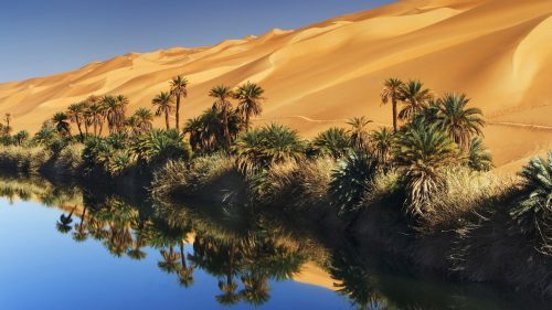 Free Nature Wallpaper Download with Desert Picture Reflections