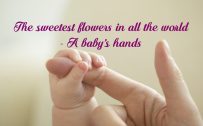 Baby Hand Caption - Baby Hand Quotes - The sweetest flowers in all the world