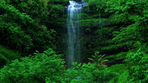 Beautiful Nature Wallpaper for Desktop with Small Waterfall in Forest