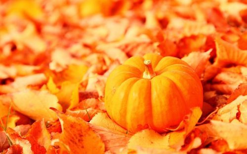 Nature Wallpapers with Autumn Leaves and Pumpkin