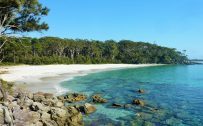 Greenfield Beach - The Best Snorkelling Spots in Jervis Bay Australia
