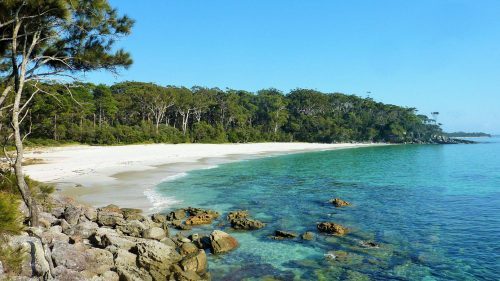 Greenfield Beach - The Best Snorkelling Spots in Jervis Bay Australia