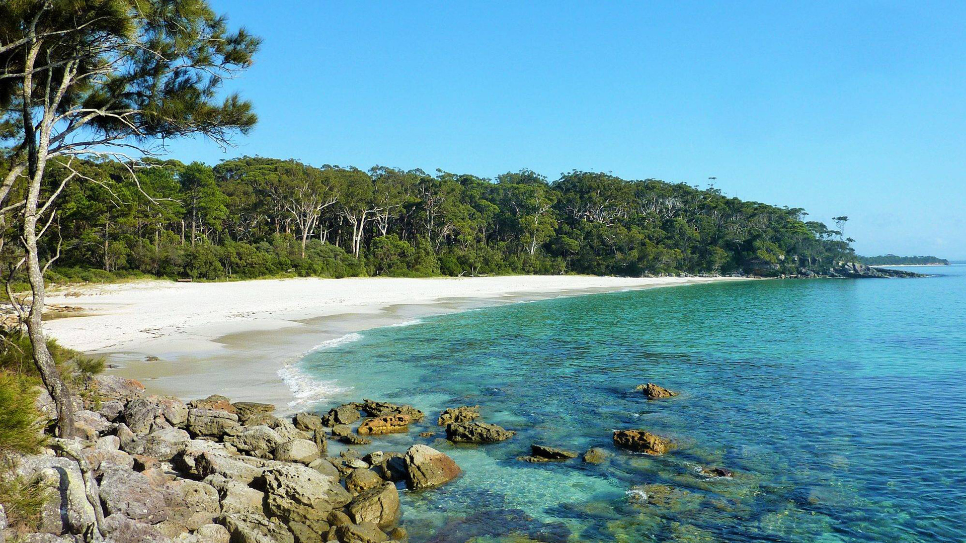 Greenfield Beach The Best Snorkelling Spots in Jervis Bay Australia