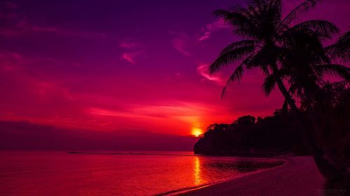 High Resolution Nature Pictures with Romantic Sunset