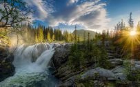Free Download Nature Wallpaper with Picture of Waterfall and Forest in the Morning