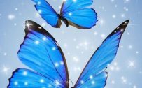 animated blue butterfly wallpaper for mobile phones