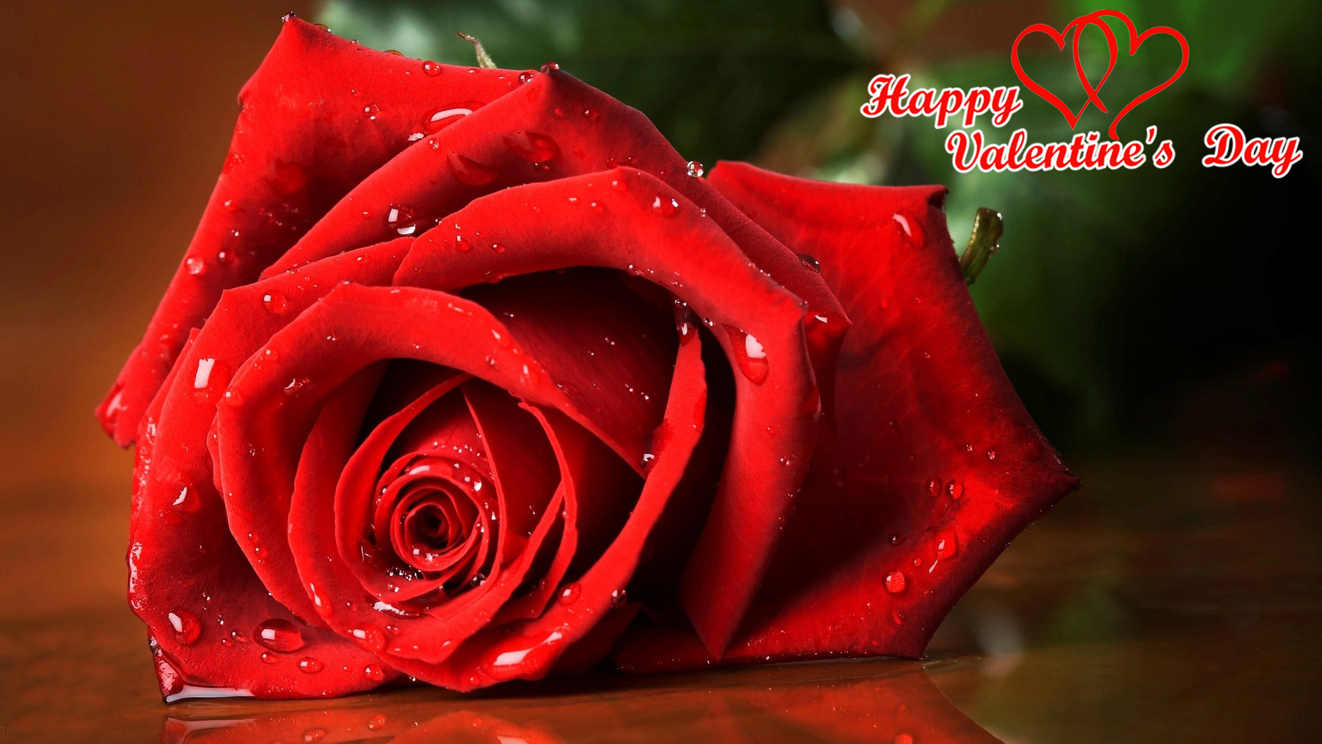 Top 25 Pictures Of Red Roses - #18 - for Valentines - HD Wallpapers ...